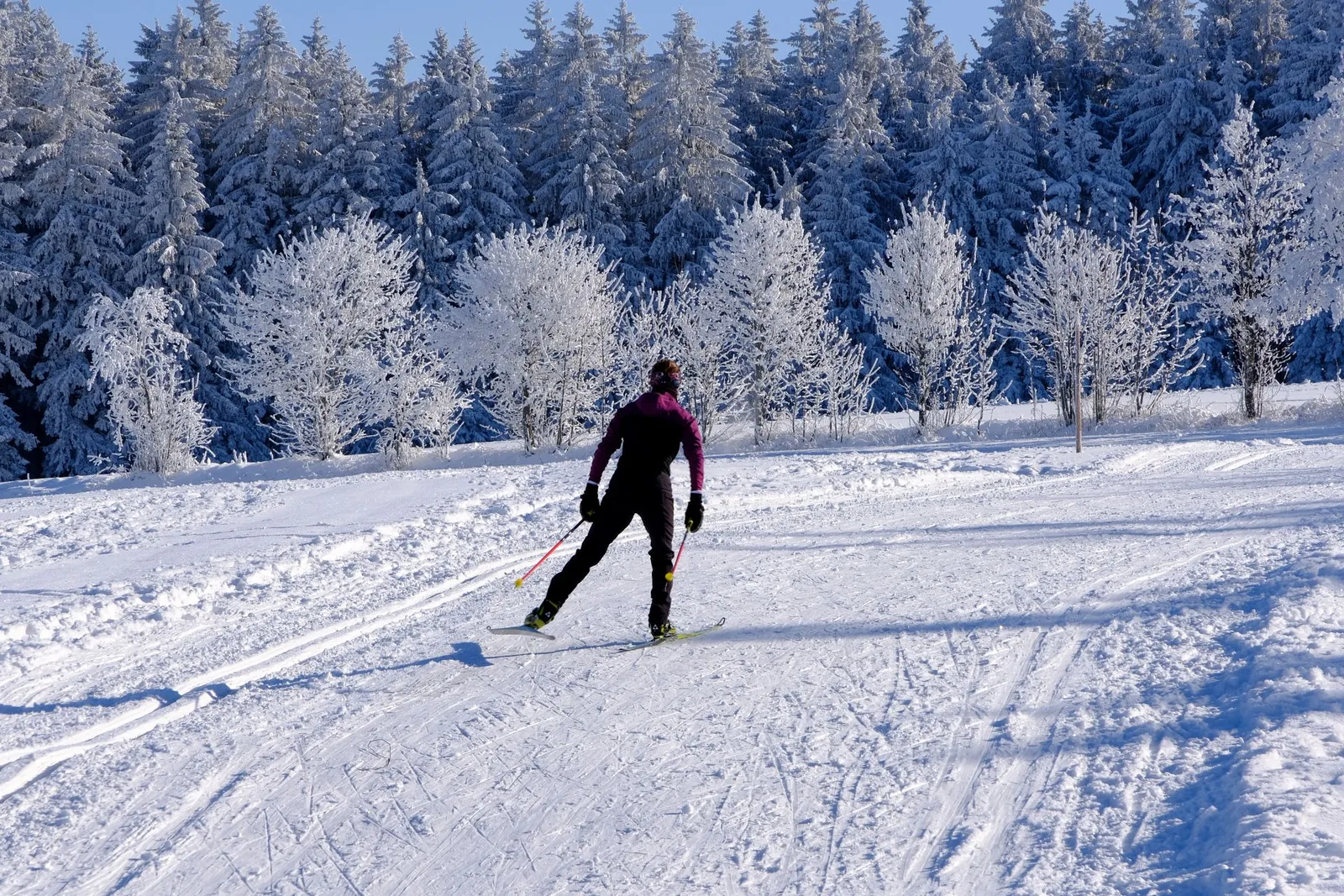 Maastohiihtäjä luistelee ladulla lumisessa metsässä