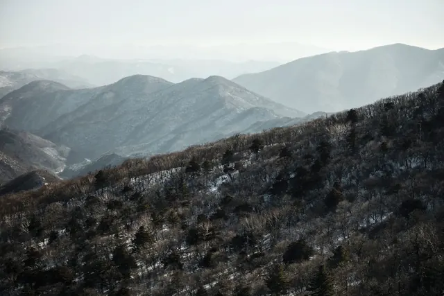 Lumiset kukkulat ja metsät Pyeongchangissa ilmasta