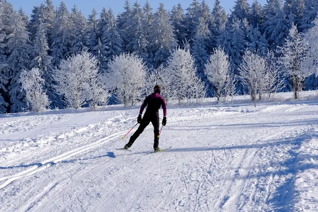 Maastohiihtäjä luistelee ladulla lumisessa metsässä
